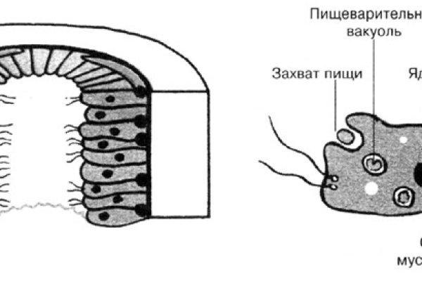 Кракен это даркнет маркетплейс